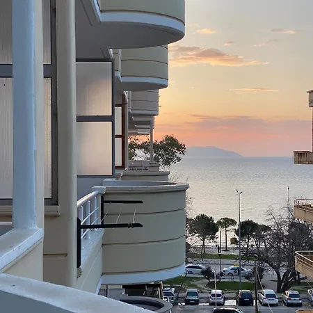 Sunny Vlore